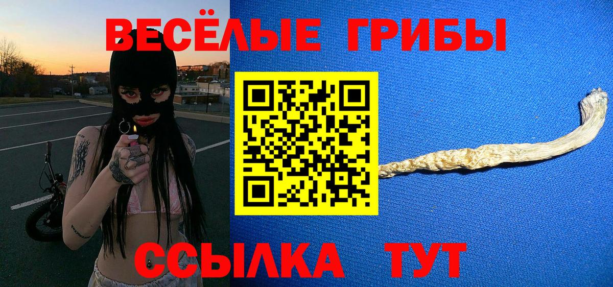 Галлюциногенные грибы Cubensis  Вход с VPN  Углич 